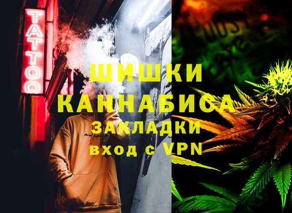 крисы Абаза
