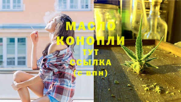 крисы Абаза
