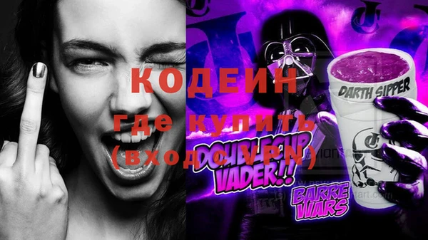 крисы Абаза