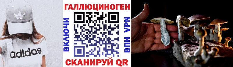 блэк спрут tor  Гагарин  Псилоцибиновые грибы GOLDEN TEACHER 