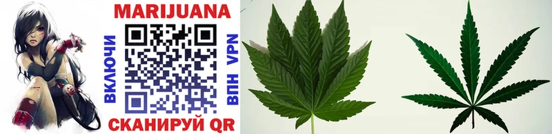 где найти Гагарин Конопля White Widow
